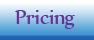 Website Pricing