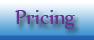 Website Pricing